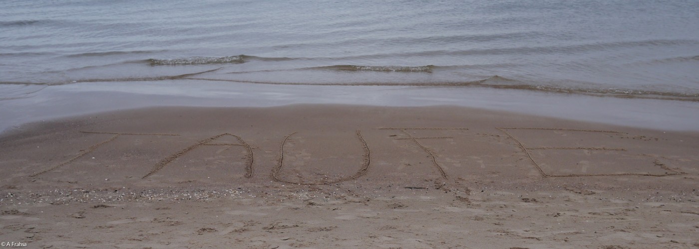 In den Sand geschriebenes Wort Sand am Ostseestrand