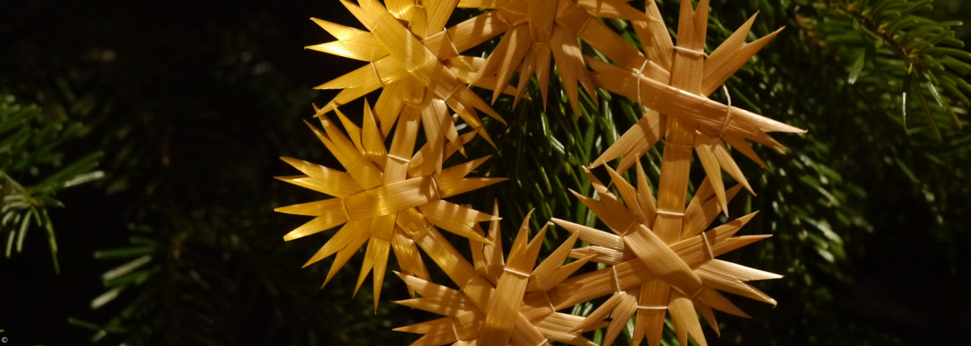 Strohstern aus sechs kleinen Strohsternen am Weihnachtsbaum